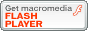 FLASH PLAYER���_�E�����[�h
